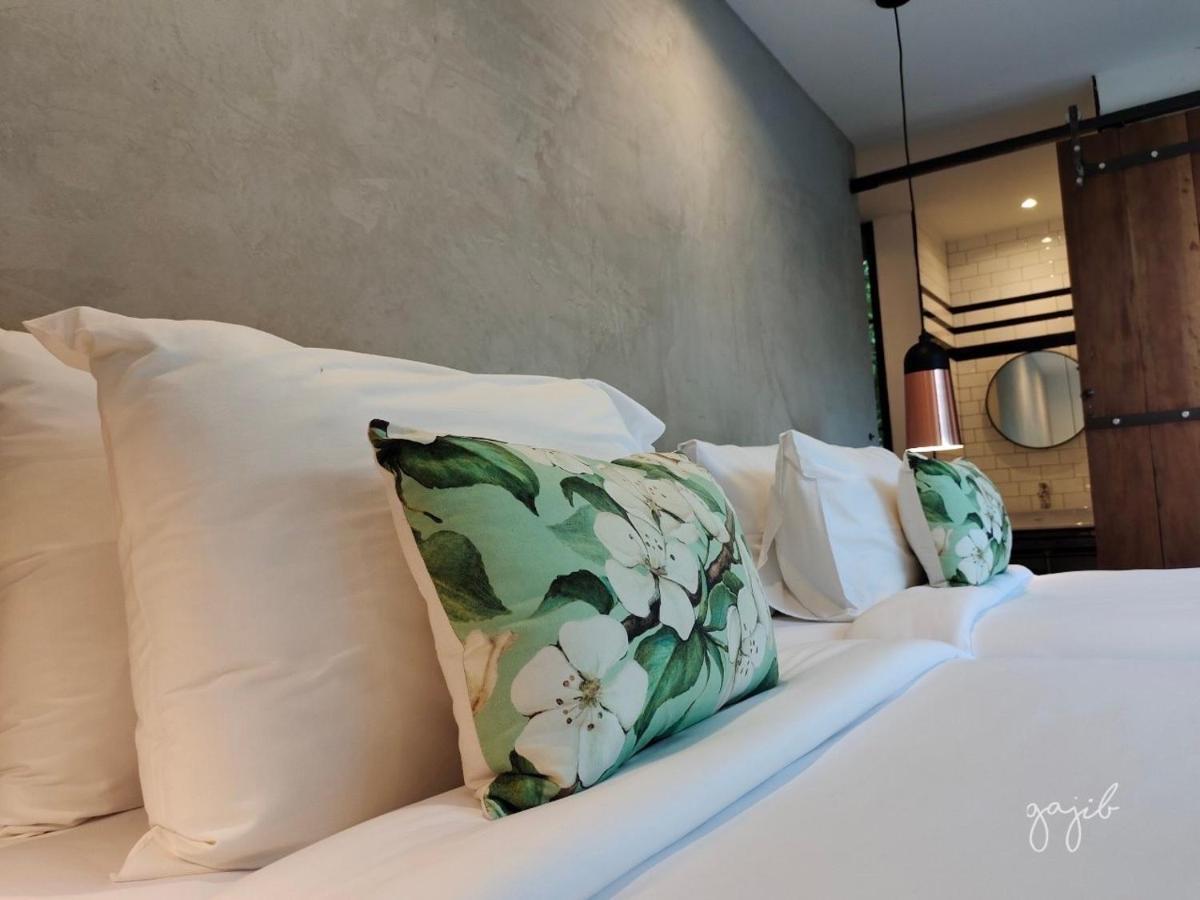 Gajib Bed&Breakfast 安帕瓦 外观 照片