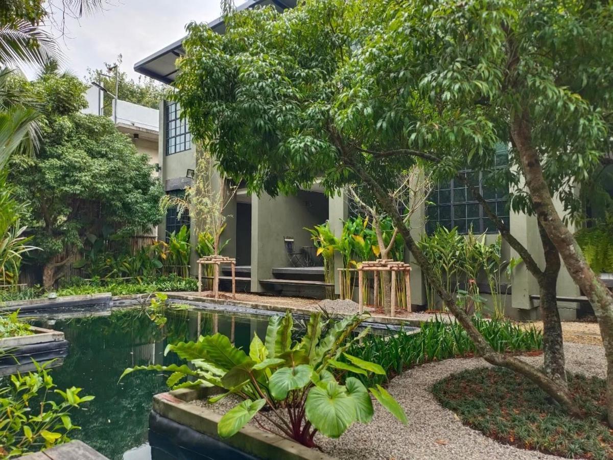 Gajib Bed&Breakfast 安帕瓦 外观 照片