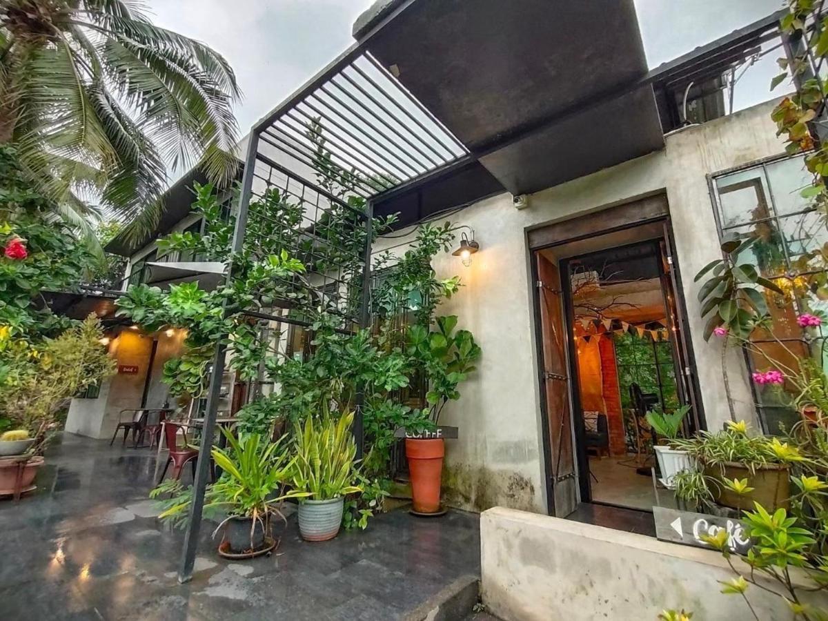Gajib Bed&Breakfast 安帕瓦 外观 照片