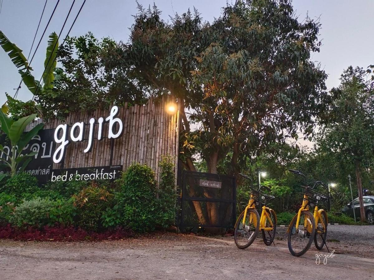 Gajib Bed&Breakfast 安帕瓦 外观 照片