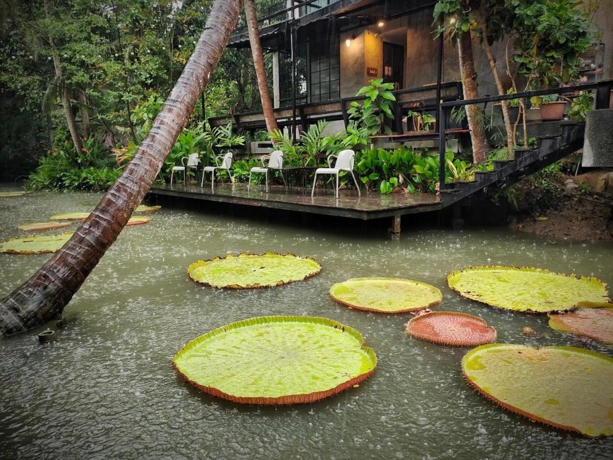 Gajib Bed&Breakfast 安帕瓦 外观 照片
