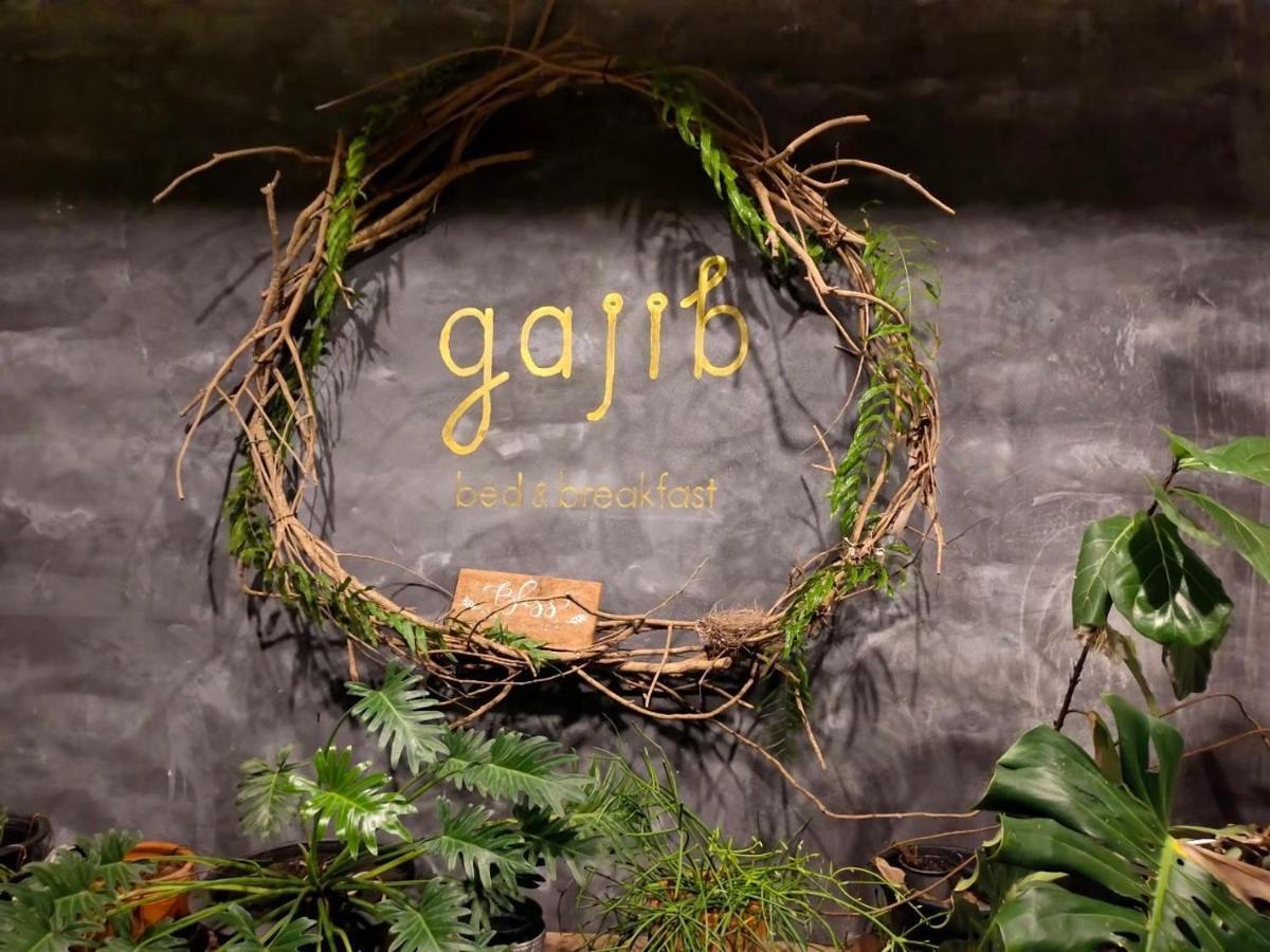 Gajib Bed&Breakfast 安帕瓦 外观 照片
