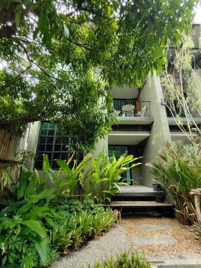 Gajib Bed&Breakfast 安帕瓦 外观 照片