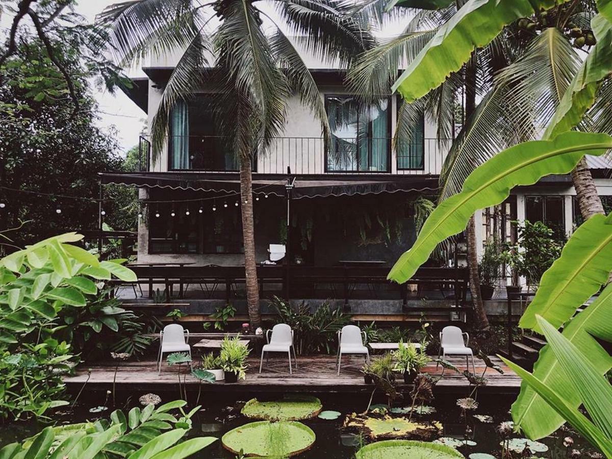 Gajib Bed&Breakfast 安帕瓦 外观 照片