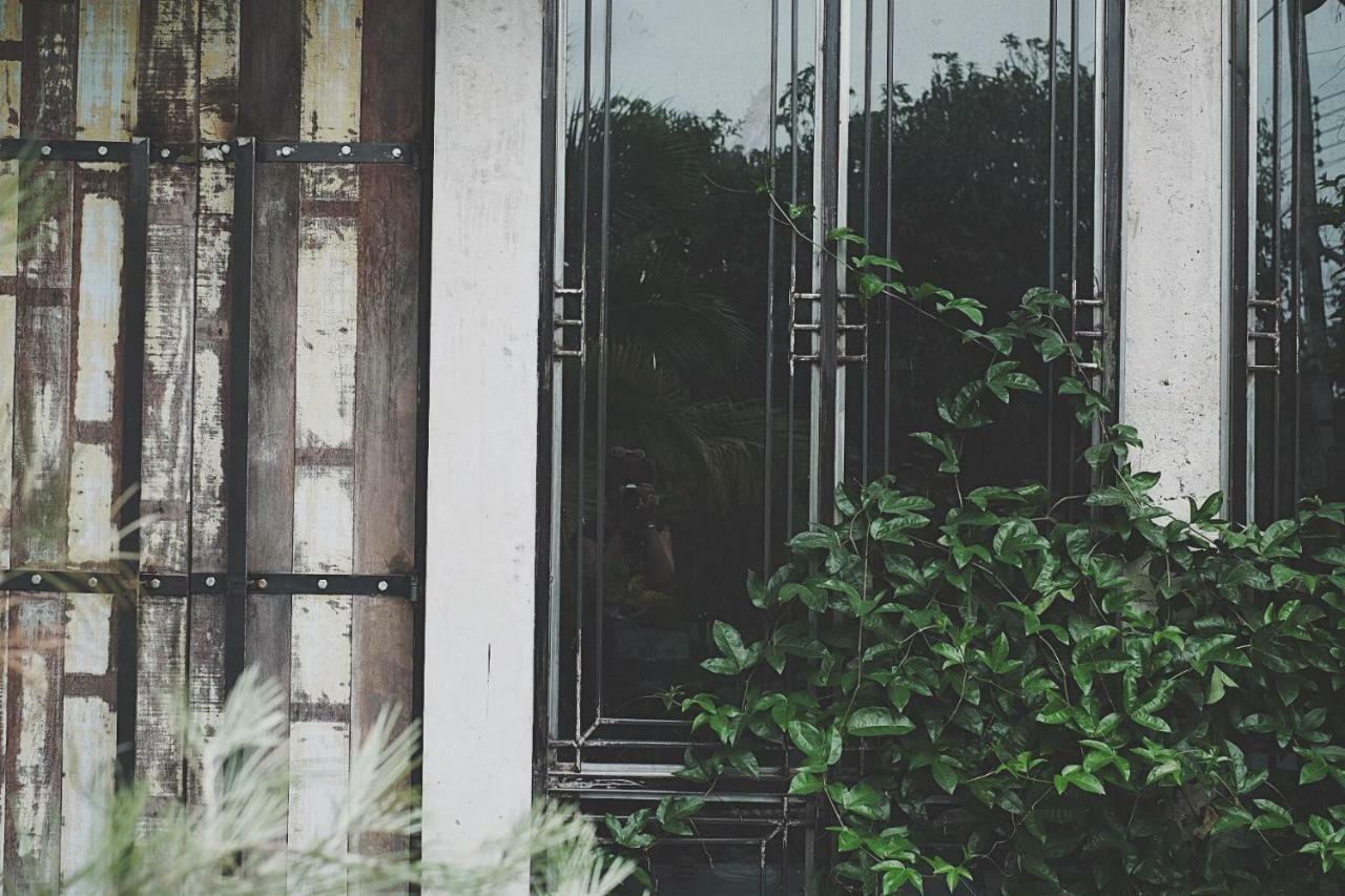 Gajib Bed&Breakfast 安帕瓦 外观 照片
